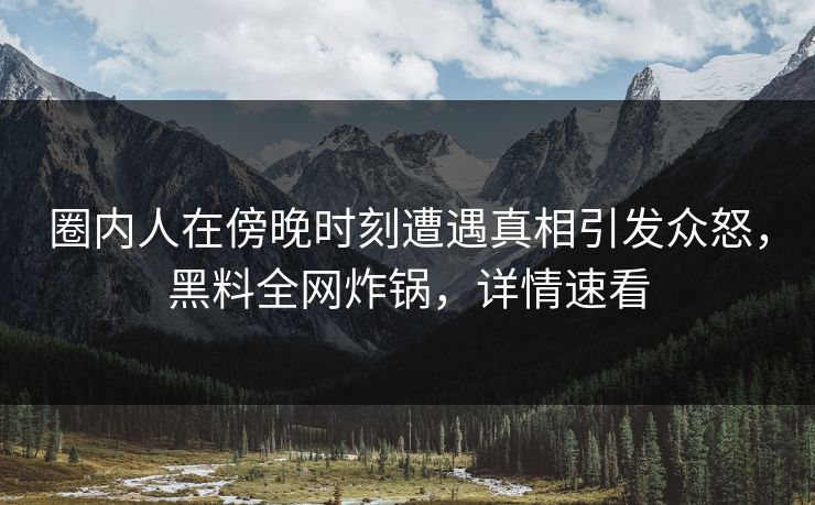 圈内人在傍晚时刻遭遇真相引发众怒，黑料全网炸锅，详情速看