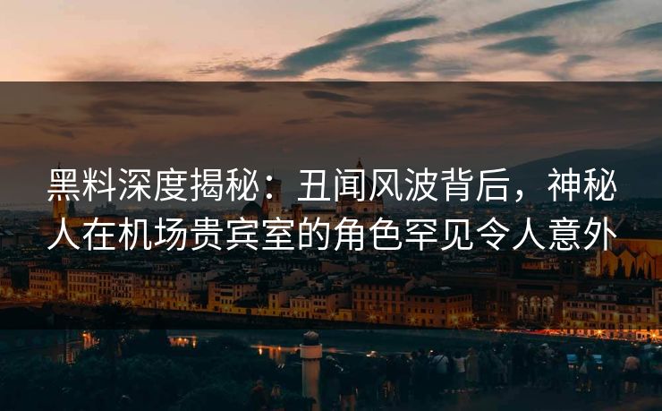 黑料深度揭秘：丑闻风波背后，神秘人在机场贵宾室的角色罕见令人意外