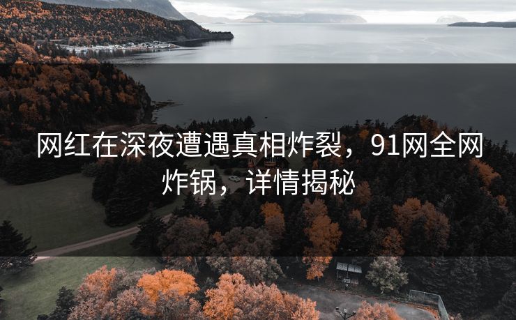 网红在深夜遭遇真相炸裂，91网全网炸锅，详情揭秘