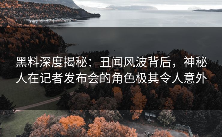 黑料深度揭秘：丑闻风波背后，神秘人在记者发布会的角色极其令人意外