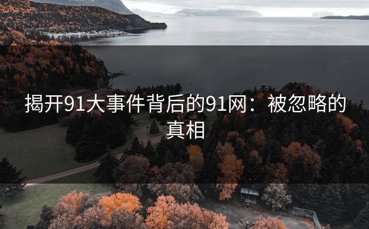 揭开91大事件背后的91网：被忽略的真相
